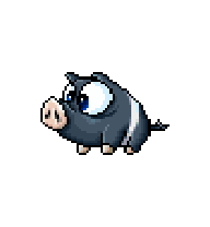Black Pig — idle animation preview