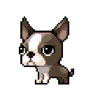 Boston — idle animation preview