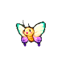 Butterfly — idle animation preview
