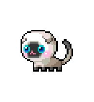 Coco Fold — idle animation preview
