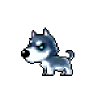 Husky — idle animation preview