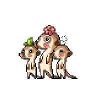 Meerkat Mob — idle animation preview
