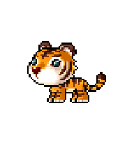 Orange Tiger — idle animation preview