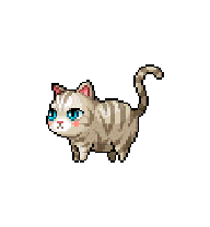 Pudgycat — idle animation preview