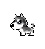 Silver Husky — idle animation preview